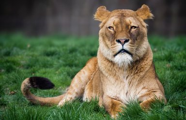 Bezoekers verleiden tot een gezondere keuze