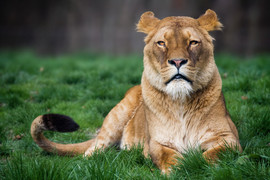 Bezoekers verleiden tot een gezondere keuze